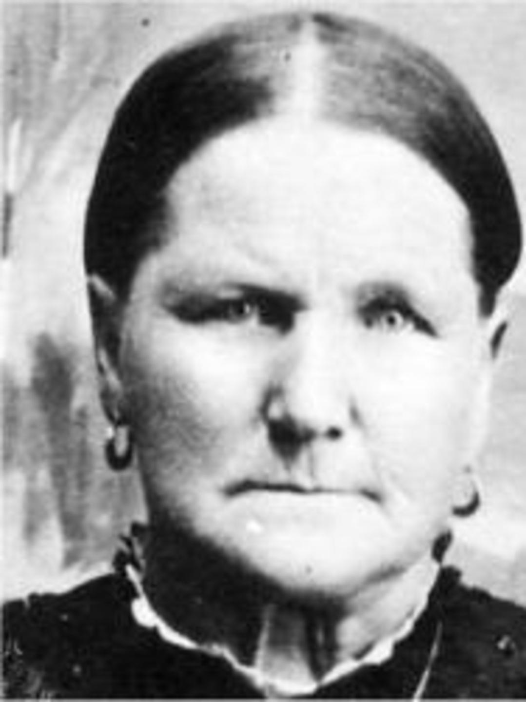 Charlotte Elsmore (1828 - 1904) Profile